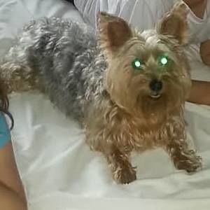 Meet your Posher, Kathy